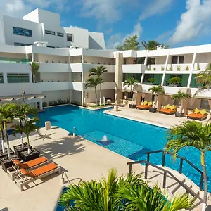 Flamingo Cancún